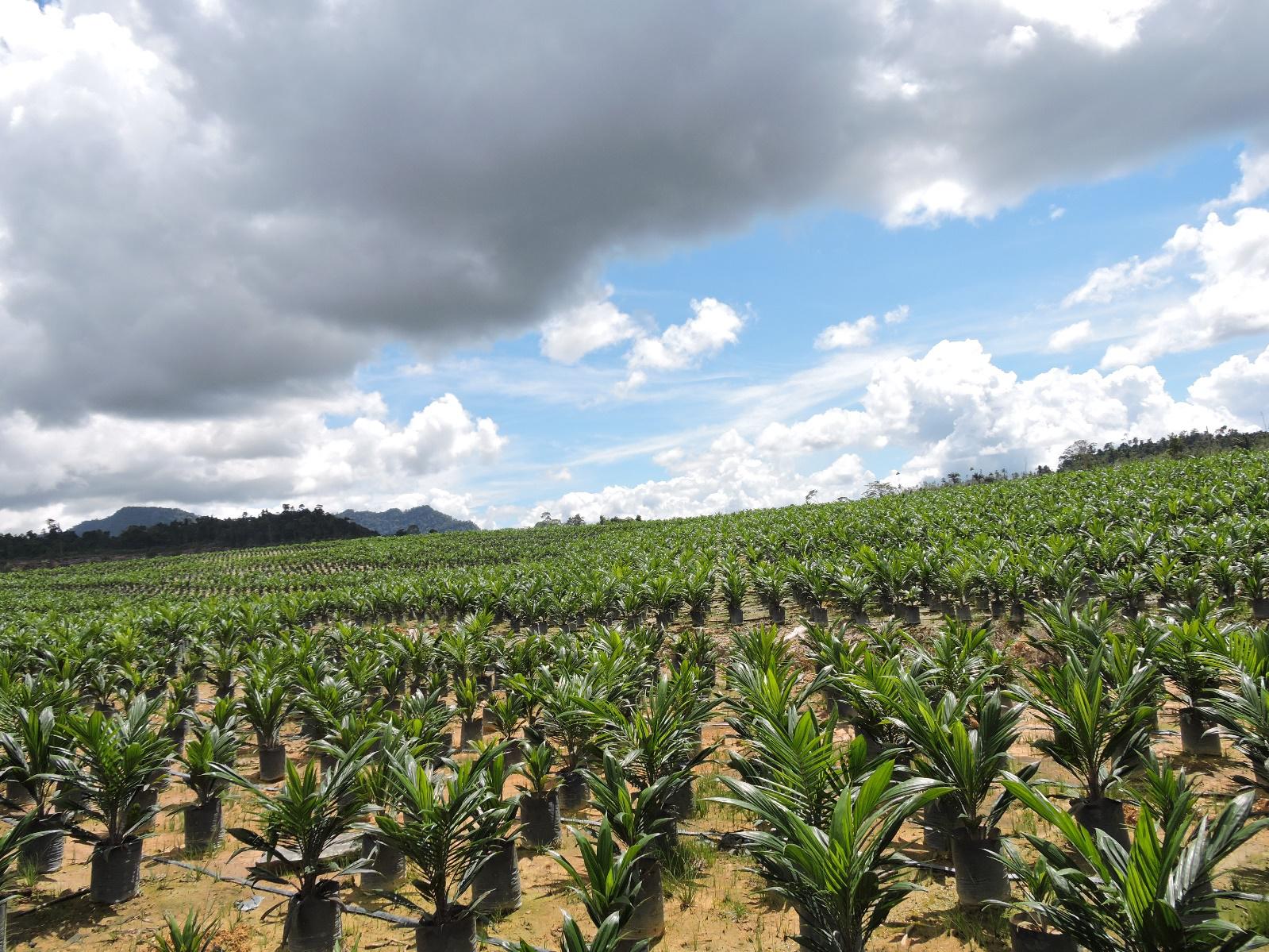 history of investment 2